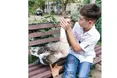 Домашня гуска носить… підгузки