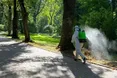 У парках Львова відбудеться обробка від кліщів: графік