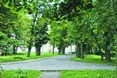 Кульпарківська битва