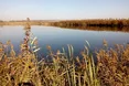 «Рибного браконьєра закрили у вольєр з двома собаками. Вийшов звідти синім»