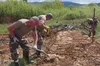 У Бориславі завершили процес перенесення останків з території колишнього радянського меморіалу (ФОТО)