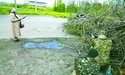 «Під виглядом біженців у Західну Україну втекло багато сепаратистів»
