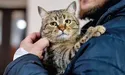 Знайшли рюкзак, а в ньому — мурка Каріна!