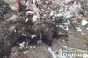 На Львівщині викрили порушників, які скидали рештки тварин на нелегальне звалище