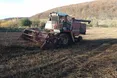 Є гречка. Але є і суперечки довкола неї