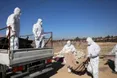 У Сирії знайшли поховання з тілами щонайменше 100 тисяч жертв режиму Асада