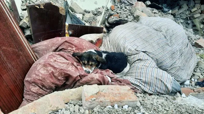 Фото: Суспільне