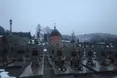 День Соборності: керівництво Львівщини віддало шану Євгену Петрушевичу