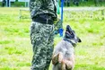 «З готовністю прийму кулю за свого господаря...»
