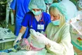 «Всю операцію проспала – снився пікнік у лісі...»
