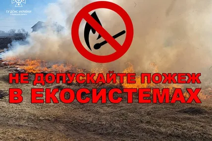 Пожежа. Фото: Головне управління ДСНС України у Львівській області