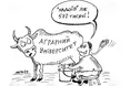 Від 38 корів «надоїв» 572 тисячі!