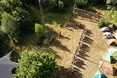 На Львівщині відбудеться обласний пластовий табір «Тінь лісу»