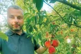 Персики вимагають старанного догляду