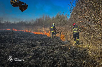 Через паліїв сухої трави ледь не загинула жінка…
