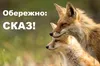 На Львівщині зафіксували сказ: введено карантин