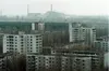 Землі у Чорнобильській зоні визнали придатними для сільськогосподарських робіт, — джерело