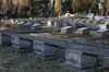 Радянські поховання з Пагорба Слави перенесуть на Голосківське кладовище