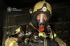 На Львівщині рятувальники вивели 7 людей і котика з задимленого будинку